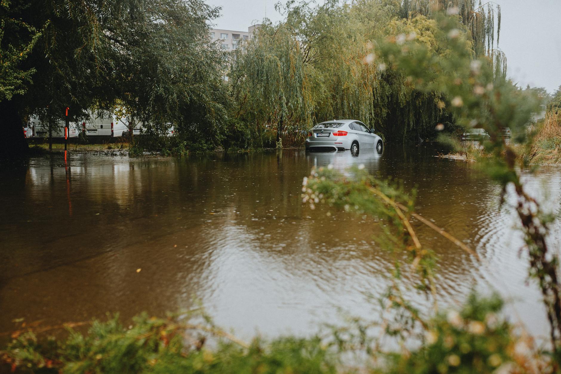 Srebrne auto częściowo zanurzone w wodzie po powodzi wśród drzew